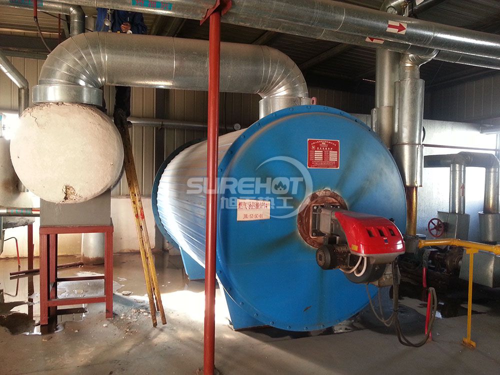 廊坊臺灣工業(yè)園 2.0MW天然氣柴油兩用導熱油爐燃燒器